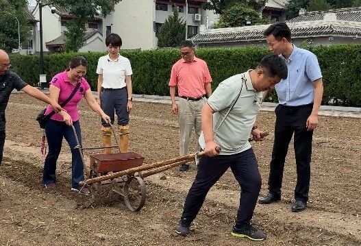 微信图片_2026-06-03_112020_975.jpg